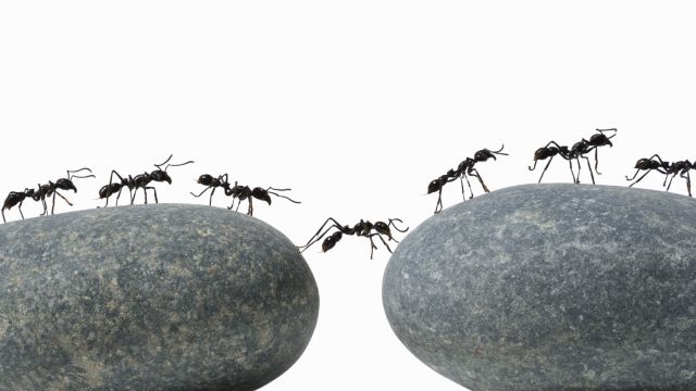 Δουλεύουμε για ΕΣΑΣ.. 12 Μήνες το χρόνο Πανελλαδικά
