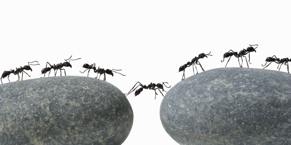 Δουλεύουμε για ΕΣΑΣ.. 12 Μήνες το χρόνο Πανελλαδικά